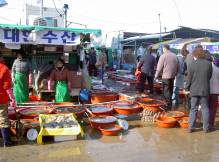 le marché aux 
poissons de Daechon