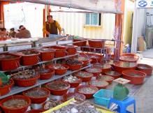 Le marché aux 
poissons et fruits de mer de Daechon