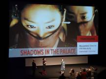 Shadows of the palace